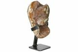 Quartz Geode Section on Metal Stand - Uruguay #121865-1